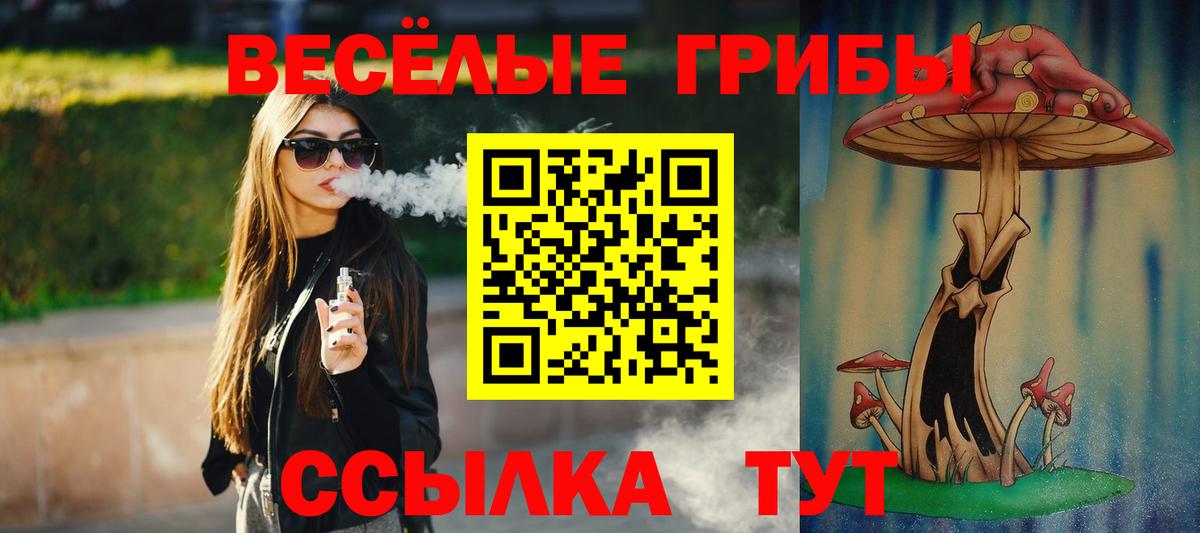 Галлюциногенные грибы Psilocybine cubensis Тында