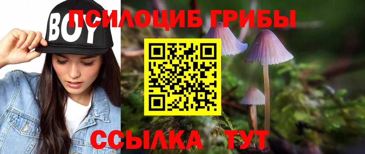 Галлюциногенные грибы GOLDEN TEACHER  Вход с VPN  Галлюциногенные грибы мухоморы  Тында 
