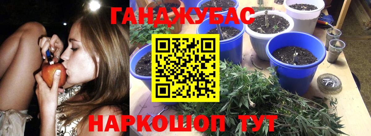 Бошки марихуана гибрид Тында